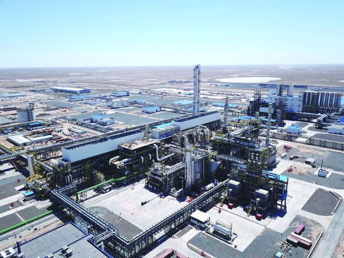 通路通商 聯(lián)運(yùn)聯(lián)情 滬市公司助力共建 一帶一路