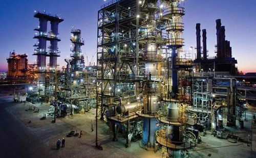 ?？松梨诨ね瞥鲂乱淮鷓ao基礎(chǔ)油