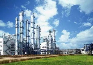 暑期實(shí)踐 逐夢(mèng)化工小分隊(duì)