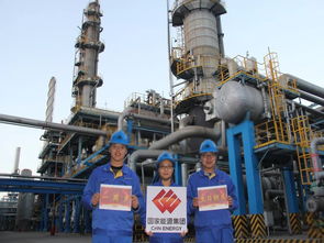 國家能源集團,我想對你表白